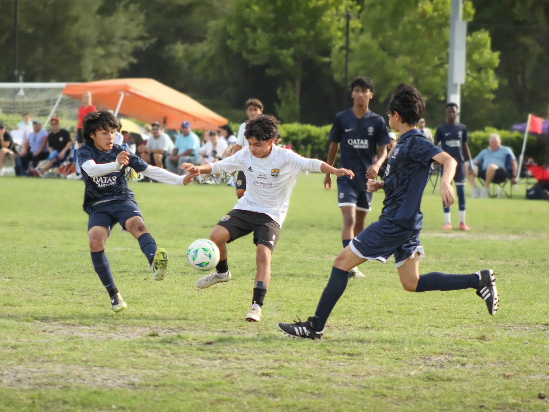 CFU FC