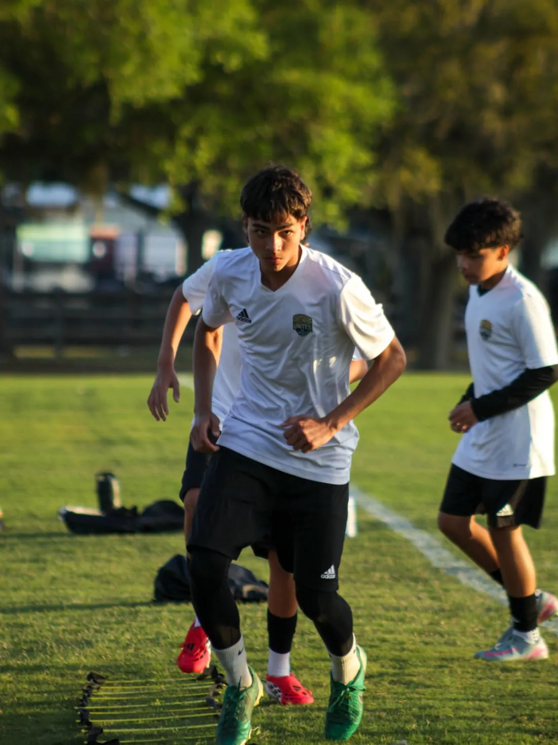 CFU FC
