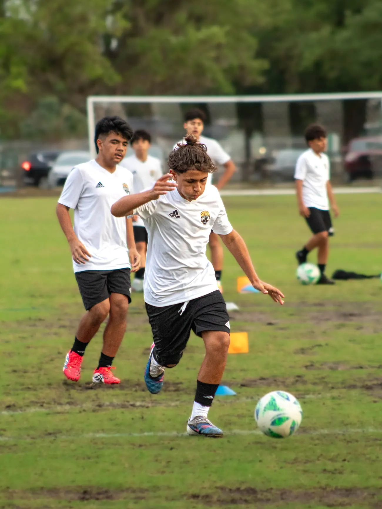 CFU FC