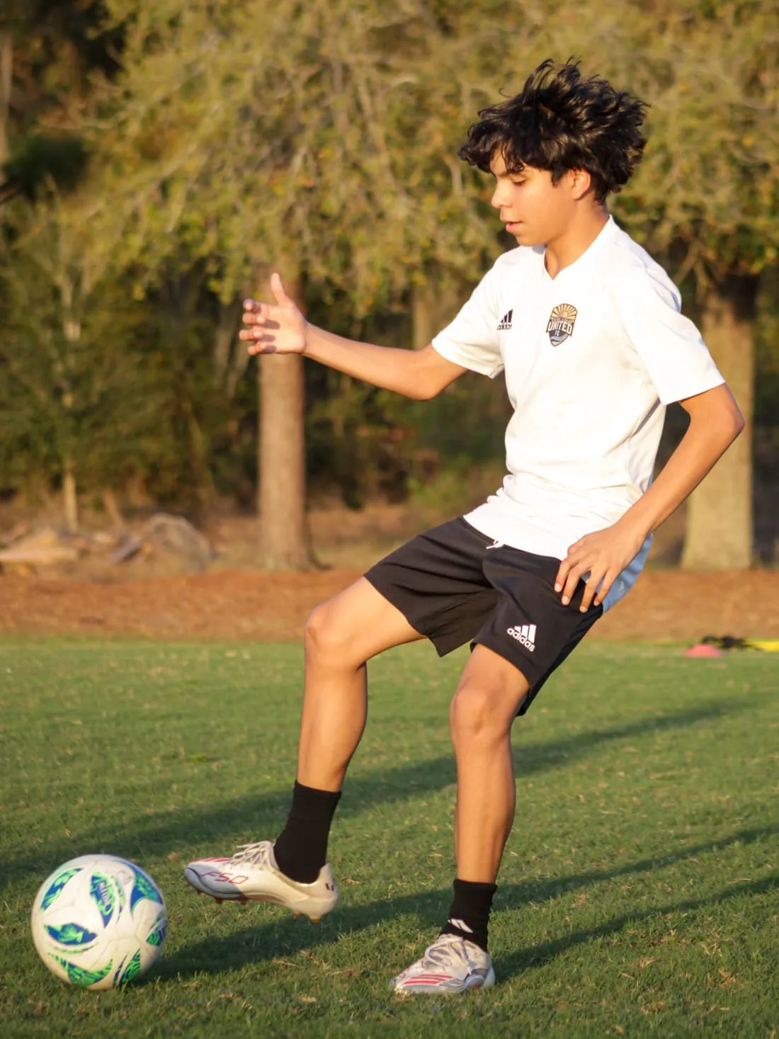 CFU FC